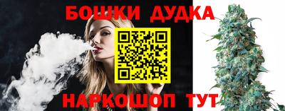 индика Беслан